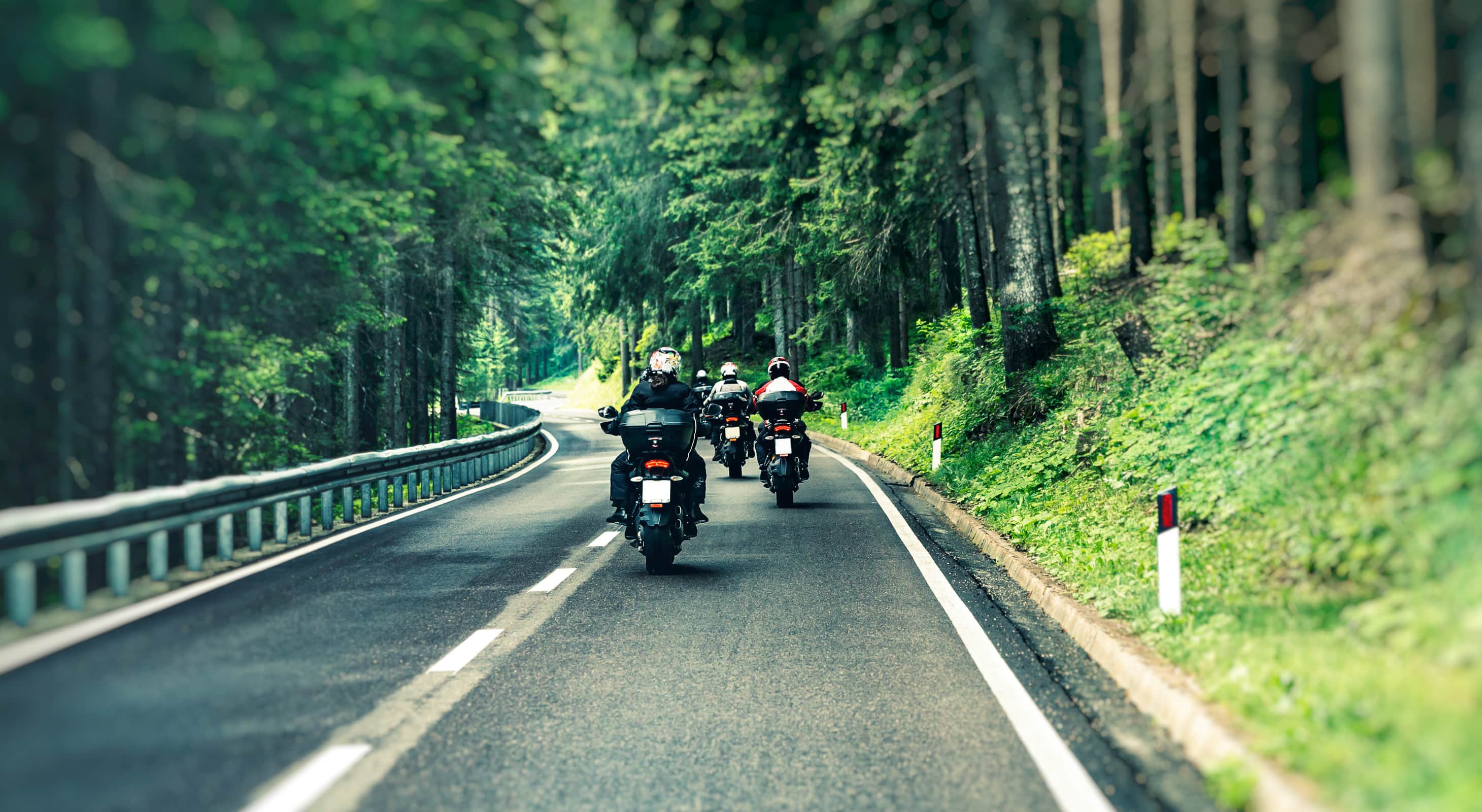 Group of mountain bikers riding through the woods