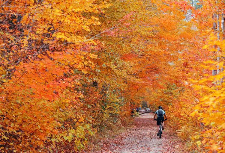 biking on path through fall colors